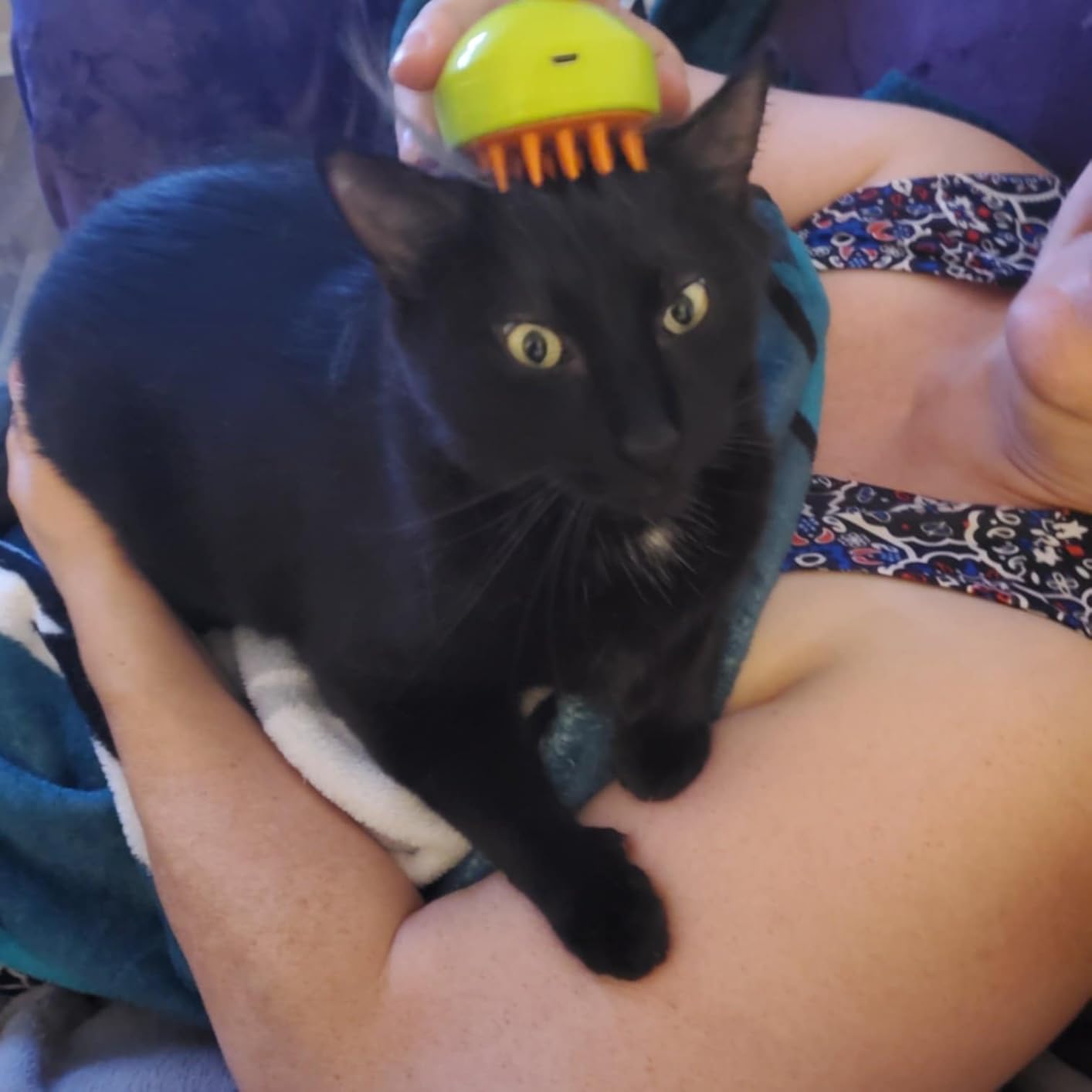 Cepillo de Vapor Multifuncional para Mascotas